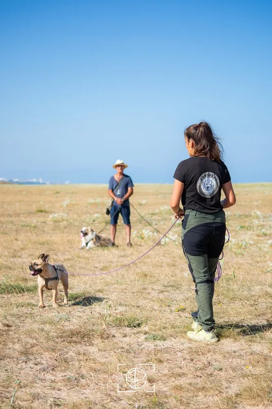 Cours collectif d'éducation canine avec Inès en longe et un client dans un champ